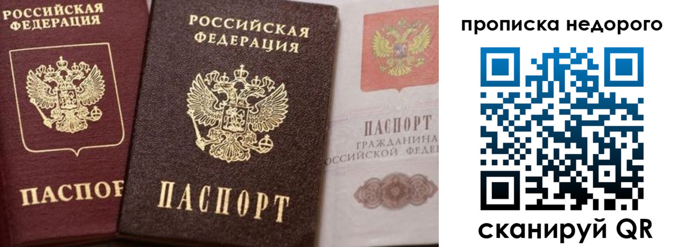 временная регистрация надежно в Ершове